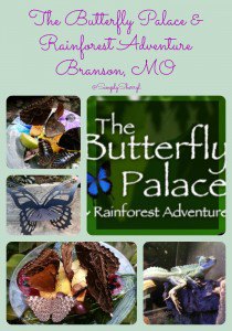 The Butterfly Palace in Branson, MO #ExploreBranson