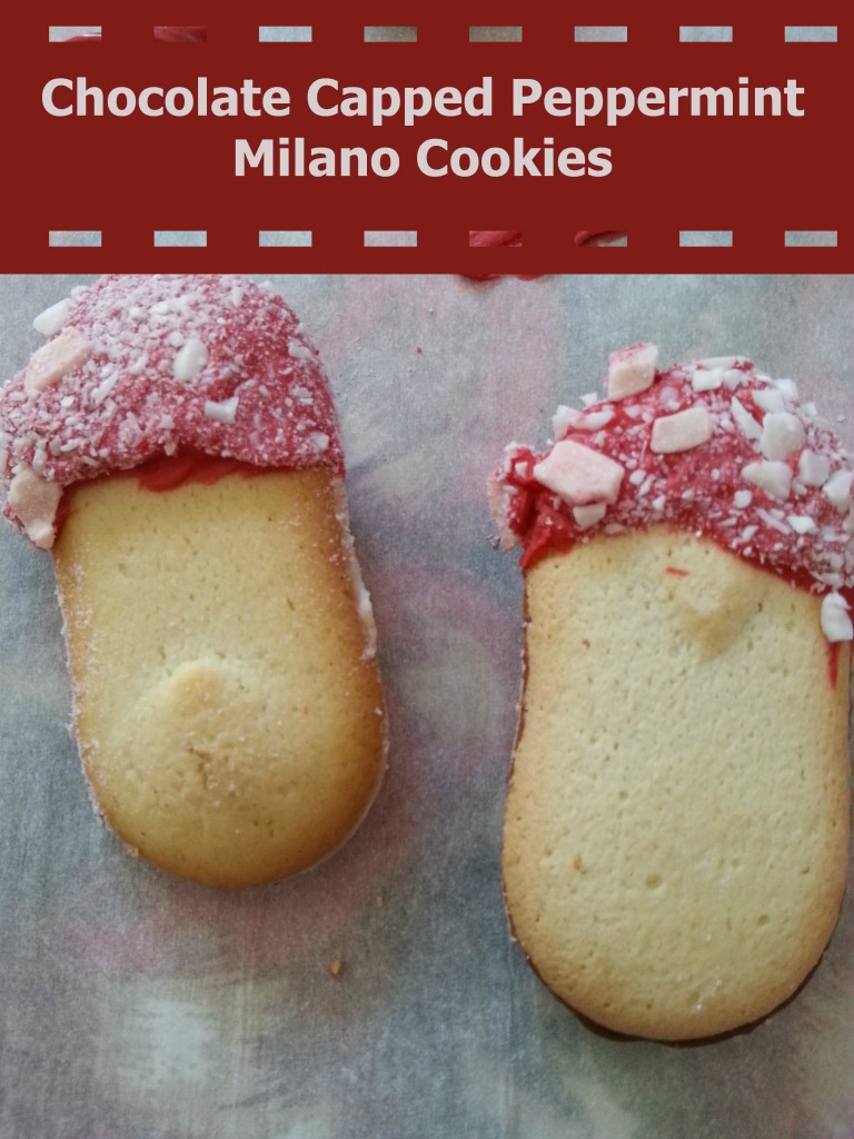 Chocolate Capped Milano Cookies