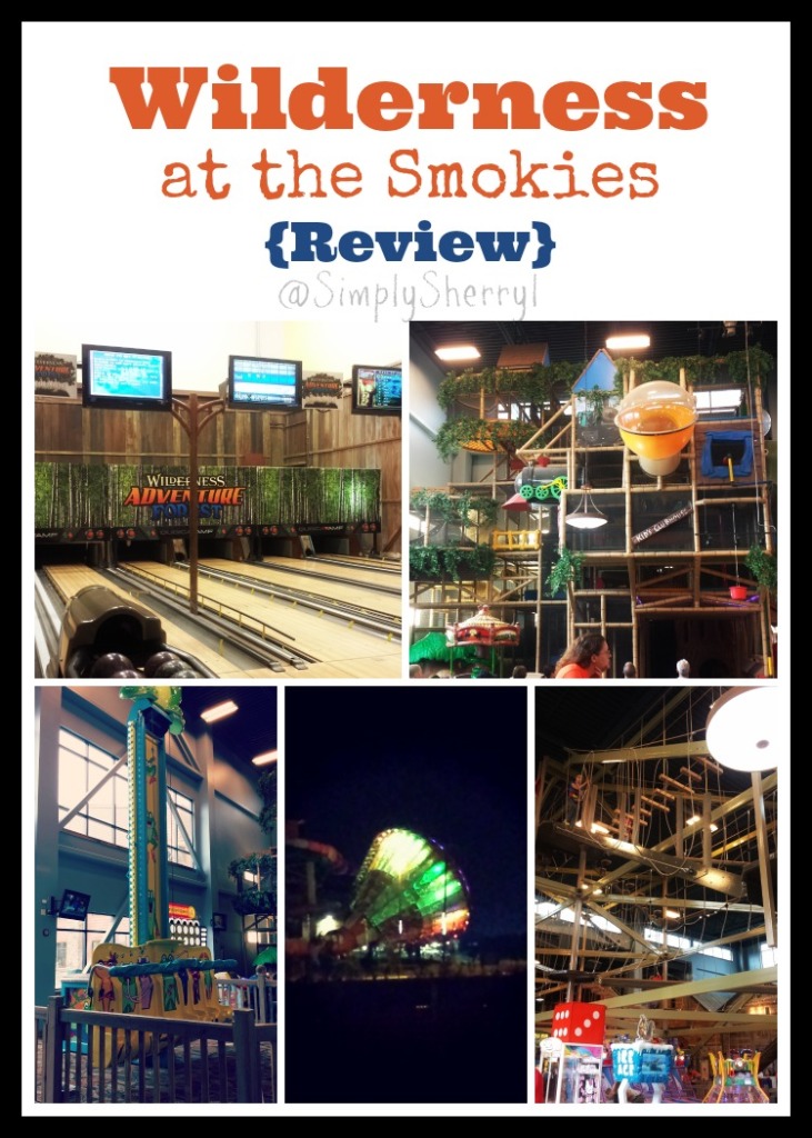 Wilderness at the Smokies {Review}