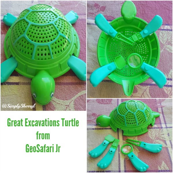 Great Excavations Turtle