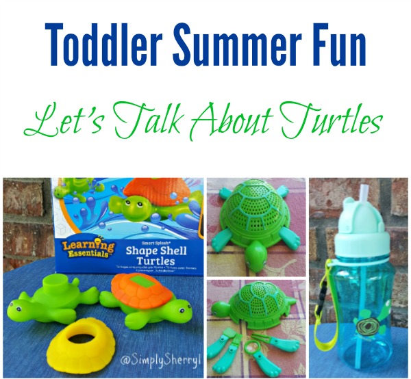 Summer Toddler Fun