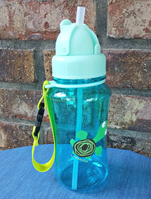 Drinking Bottle Wildlife Turtle