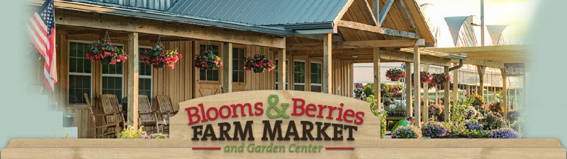 Butterfly Fest at Blooms & Berries Farm Market