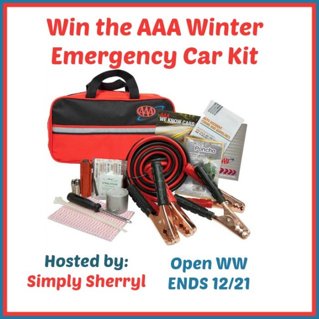 Winter Emergency Road Kit by AAA