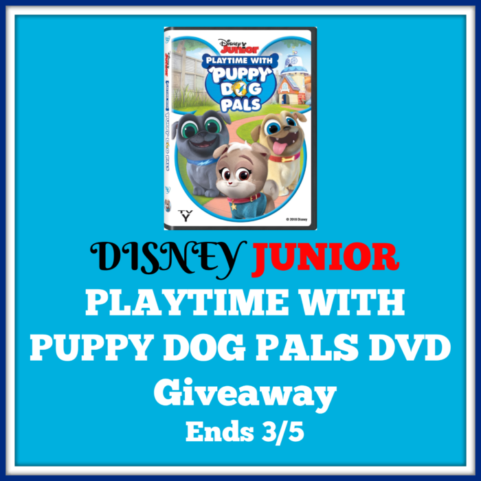 Disney Junior Playtime with Puppy Dog Pals